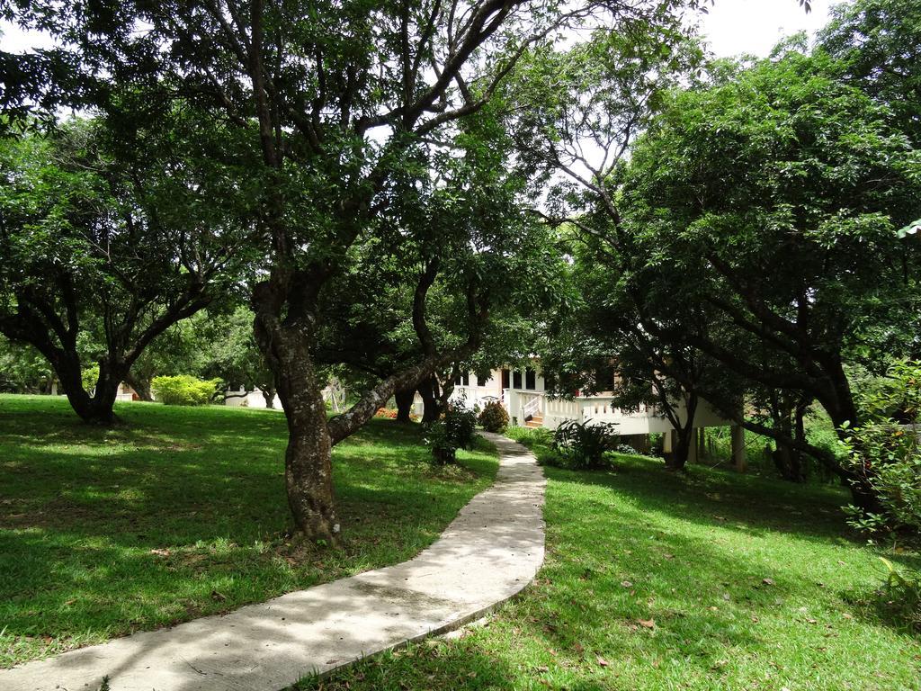 Chang Garden Resort Mae Chan Exterior photo